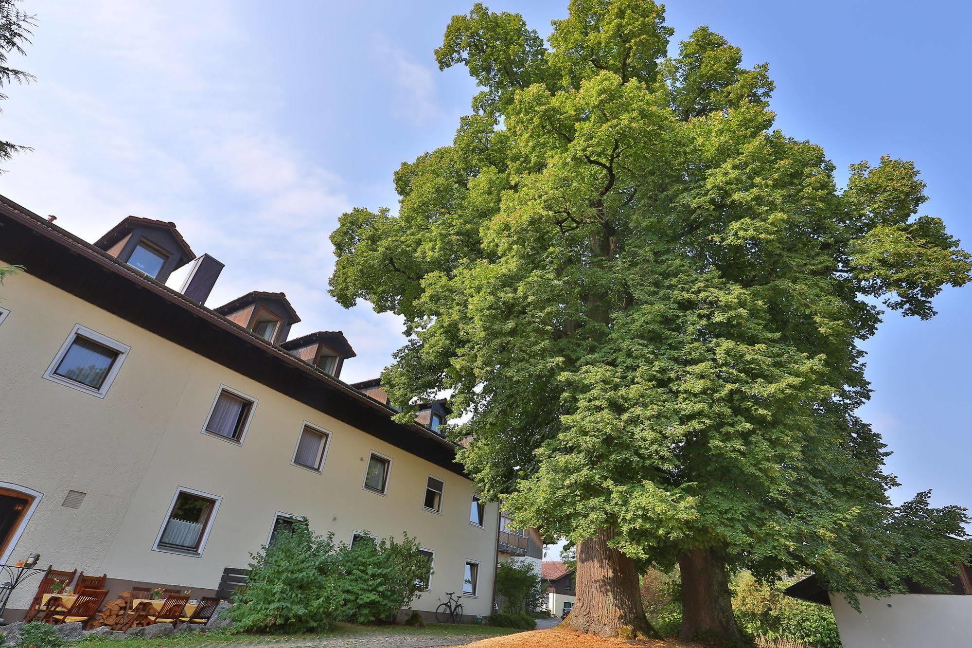 Hotel Bockmaier Oberpframmern Bagian luar foto